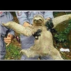 Meet your Posher, Celina